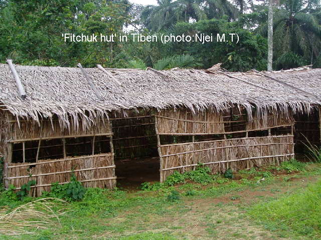 'Fitchuk' hut (photo: Njei M.T)